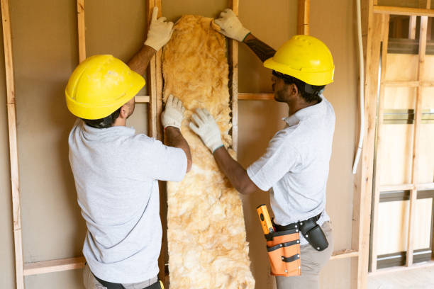 Best Insulation Removal  in Suquamish, WA